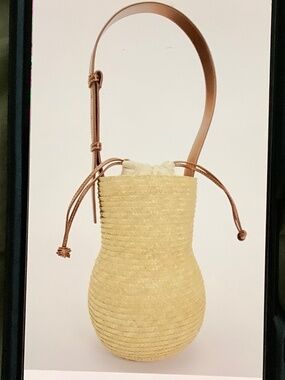 Zara straw basket bag